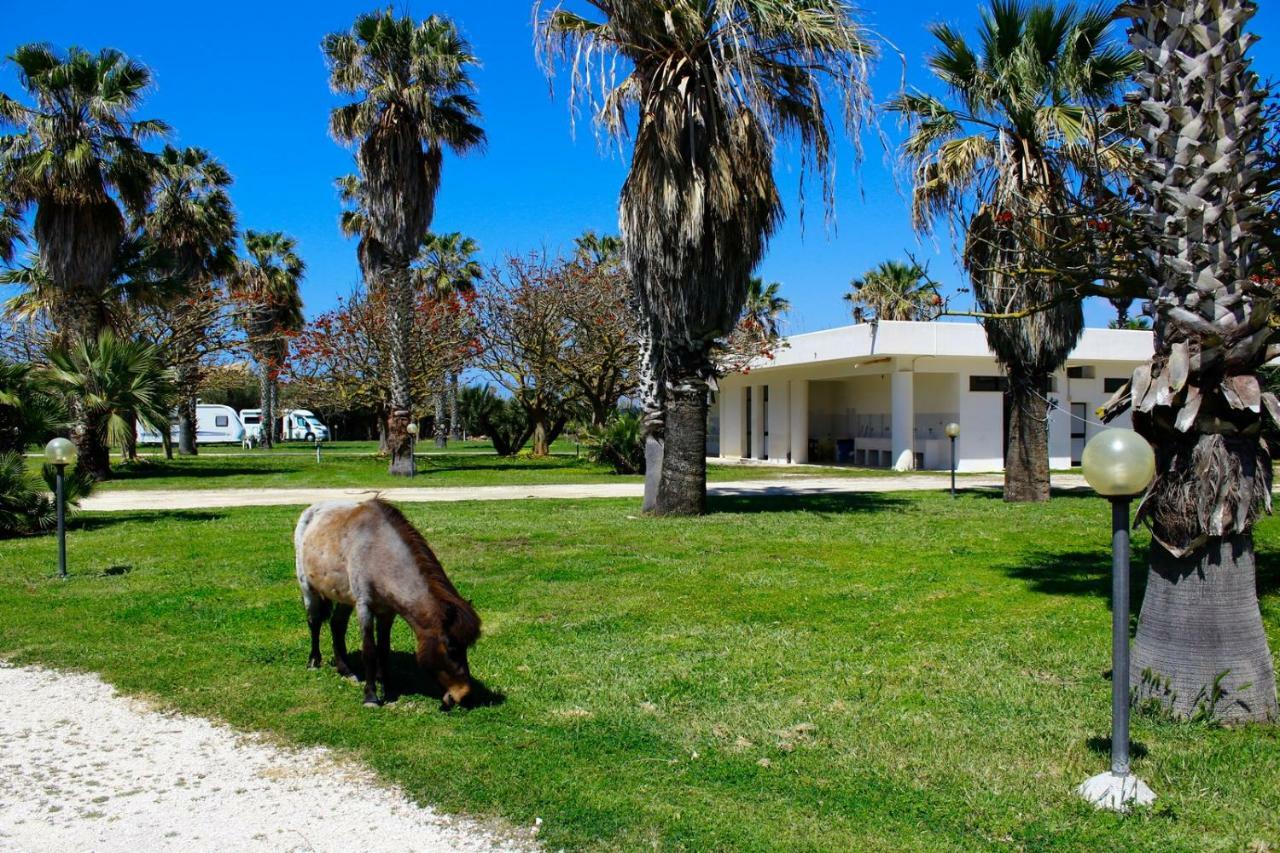 Apartmán Camping Biscione Petrosino Exteriér fotografie